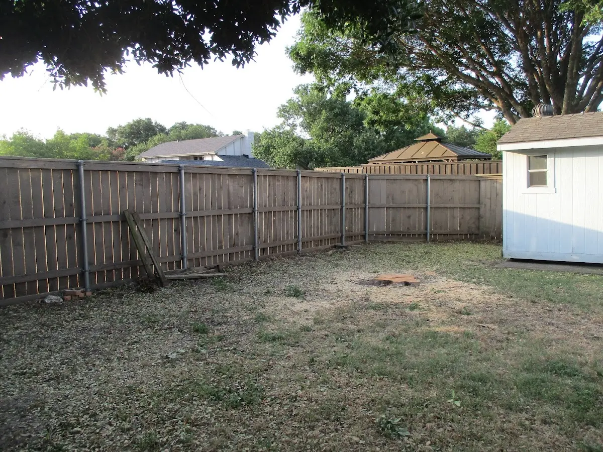 Cleared yard after professional tree removal in Glentana